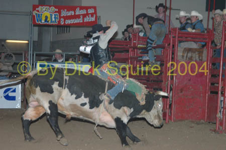 Brookings, S. D.  04 056