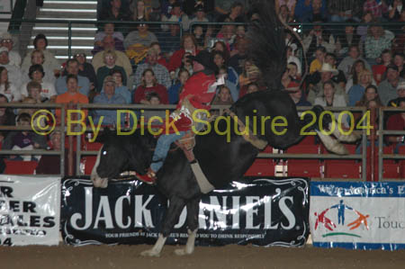 Brookings, S. D.  04 137