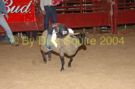 LaCrosse, BR, 04 116