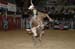 LaCrosse, BR, 04 027
