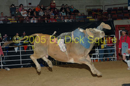 LaCrosse 05 170