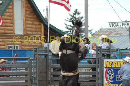 Neilsville 05 030