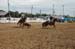 Neilsville 05 015