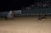 Neilsville 05 038