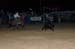 Neilsville 05 040