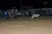 Neilsville 05 042