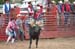 River Falls 05 162