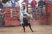 River Falls 05 165