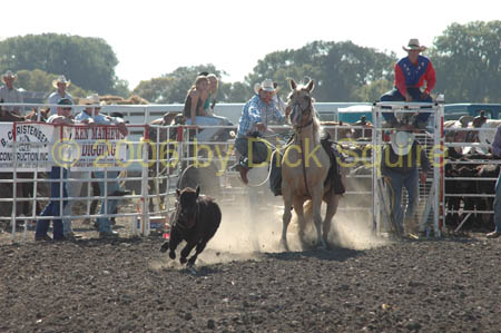 Hutchinson,06 048