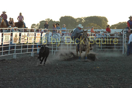 Hutchinson,06 084