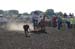 Hutchinson,06 049