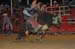 LaCrosse 06 223