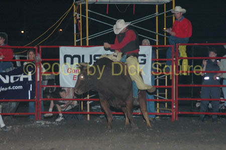 Owatonna 06 021