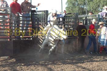 Faribault 07 009