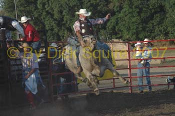 Faribault 07 017