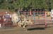 Faribault 07 007