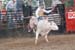 Anoka 08_0029