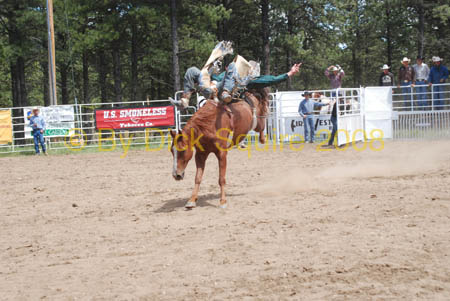 Crazy Horse 08 011