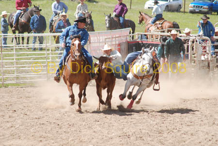 Crazy Horse 08 035