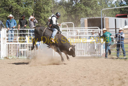 Crazy Horse 08 059