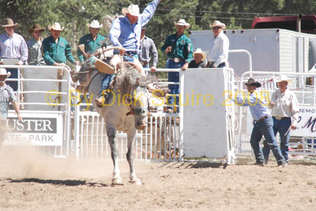Crazy Horse 08 111