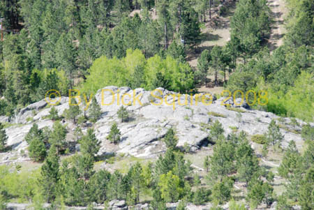 Crazy Horse 08 165