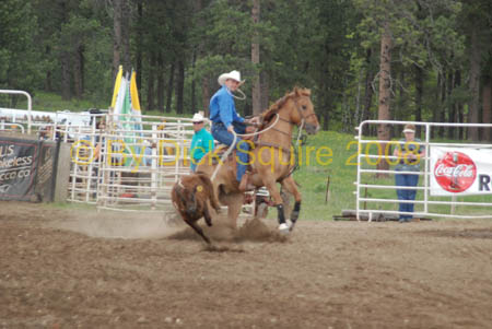 Crazy Horse 08 190