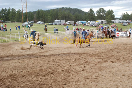 Crazy Horse 08 206