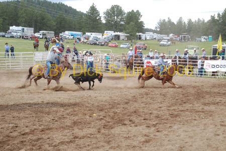 Crazy Horse 08 208