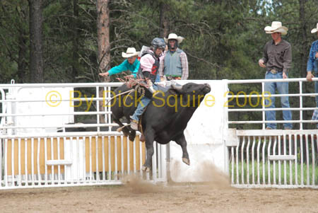 Crazy Horse 08 220
