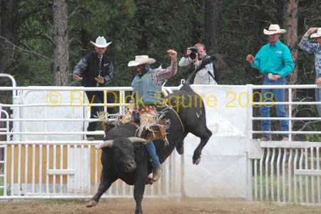 Crazy Horse 08 222