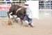 Crazy Horse 08 064