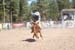 Crazy Horse 08 100
