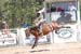 Crazy Horse 08 102