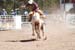 Crazy Horse 08 105