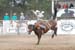 Crazy Horse 08 196