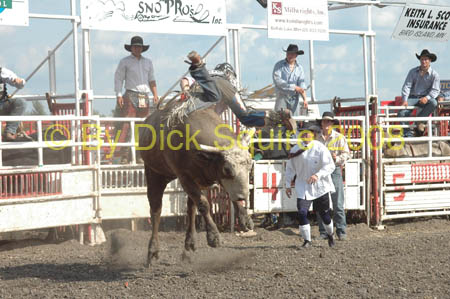 Hutch 08 047