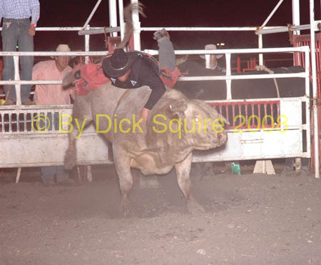 Hutch 08 103