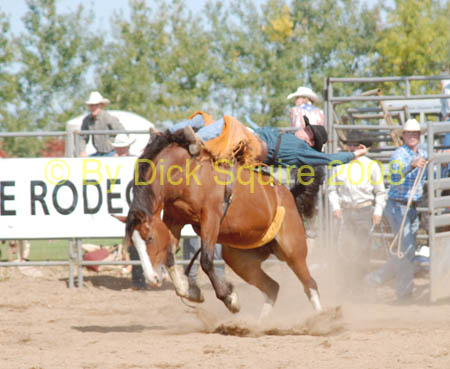LittleFalls 08 018
