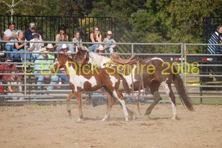 LittleFalls 08 049