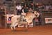 Mason City 08 066