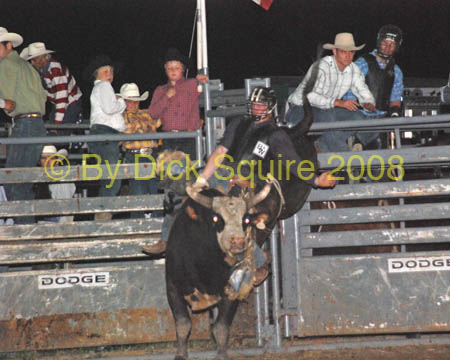Pine City 08 087