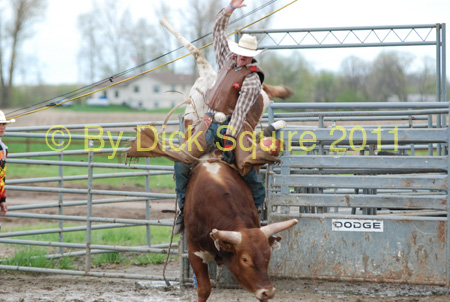 Pine City Bull Futuri#9EE2D