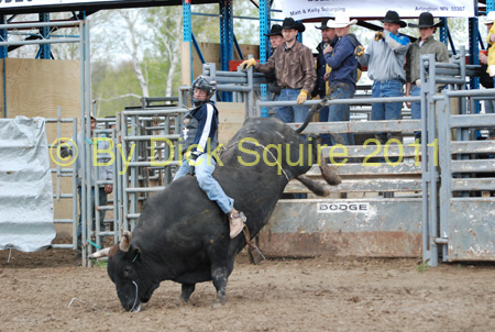 Pine City Bull Futuri#9EE39