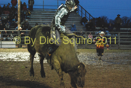 Pine City Bull Futuri#9EE3F