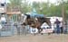 Pine City 11 012