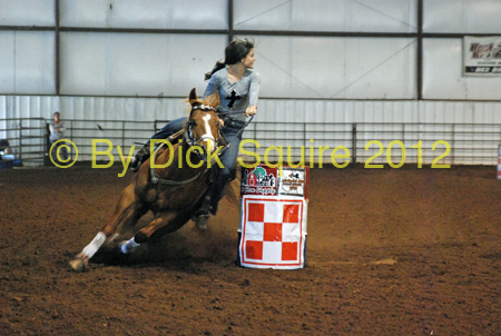 arrowhead_078