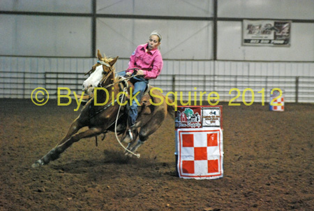 arrowhead_249