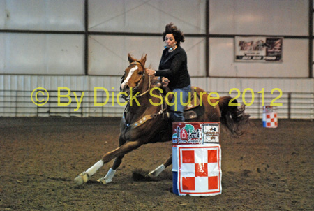 arrowhead_267