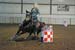 arrowhead_236